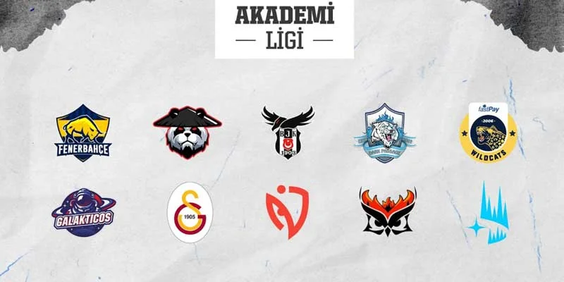 Academi Ligi